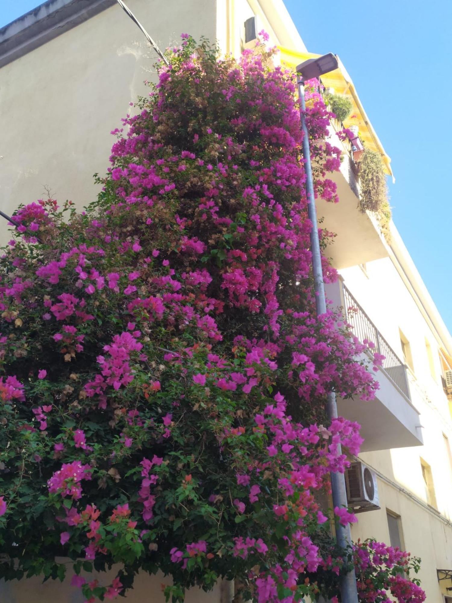 Ferienwohnung Lormar House Oristano Exterior foto